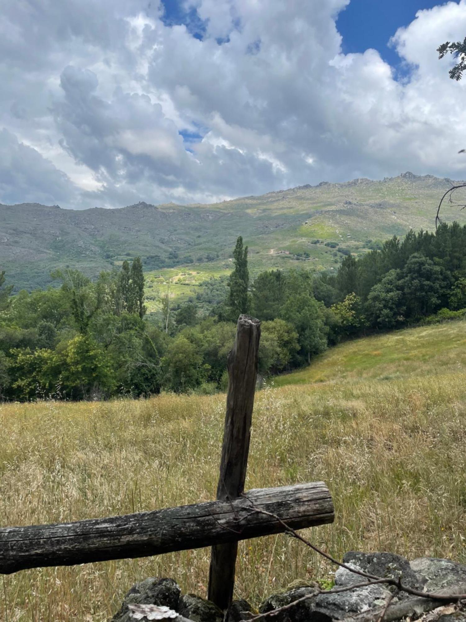 Terracea Βίλα Hoyos Εξωτερικό φωτογραφία