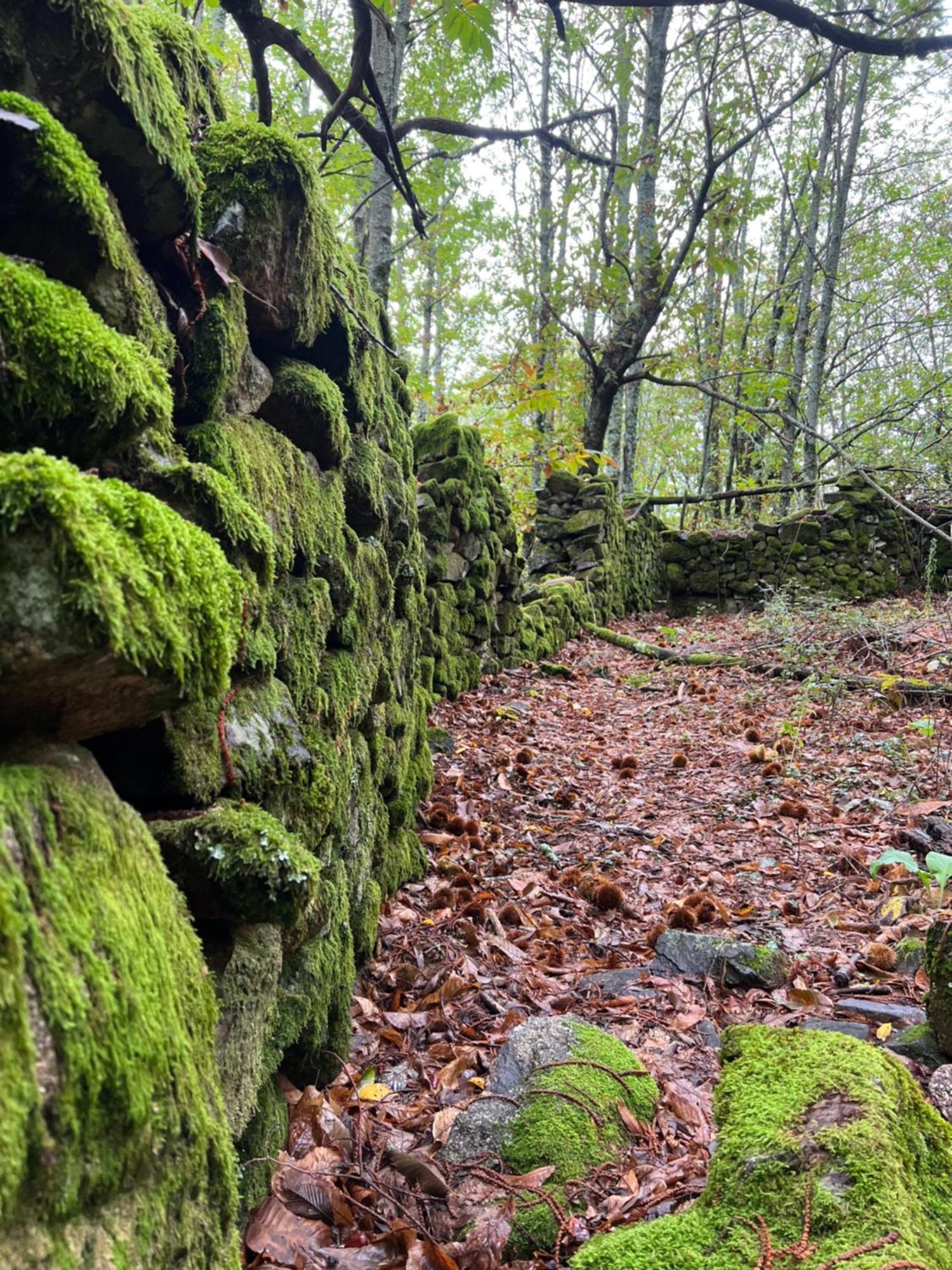 Terracea Βίλα Hoyos Εξωτερικό φωτογραφία
